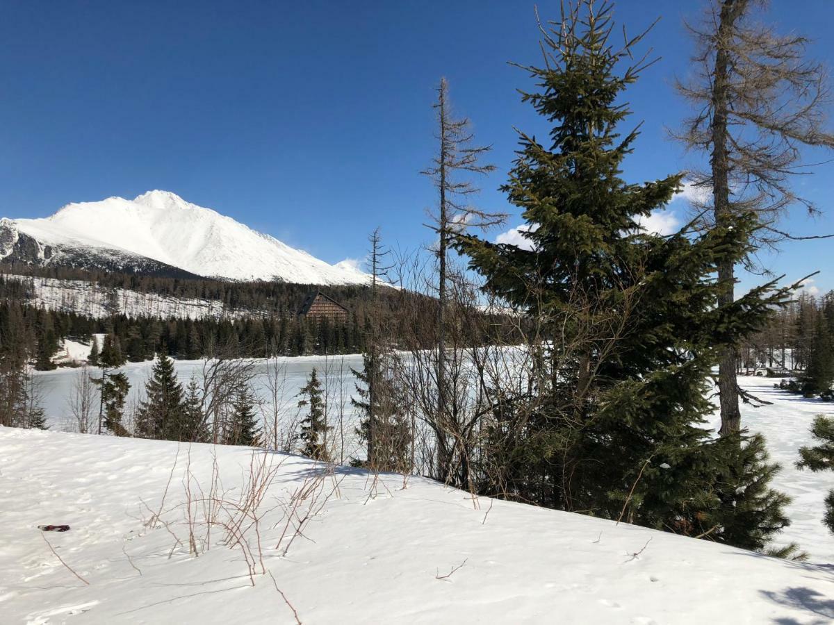 Vila Horec, Vysne Hagy Vysoké Tatry Esterno foto