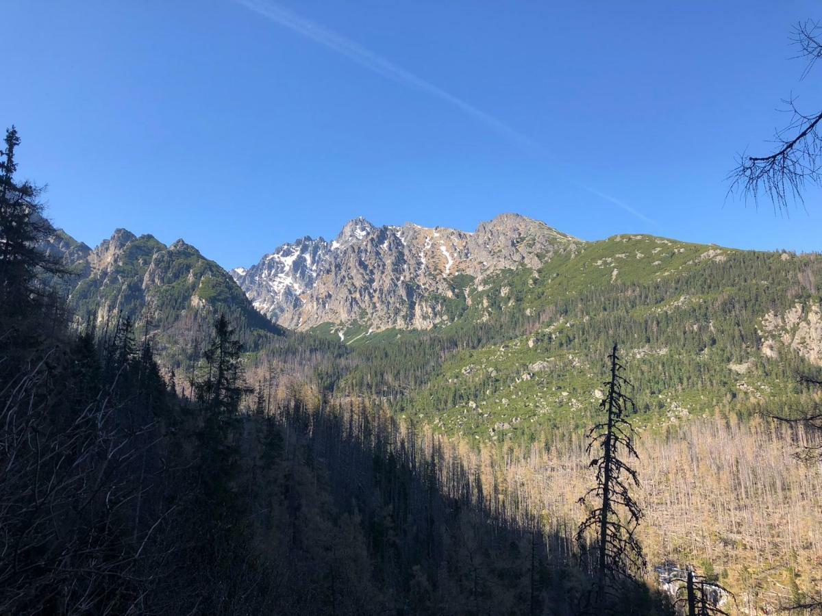 Vila Horec, Vysne Hagy Vysoké Tatry Esterno foto