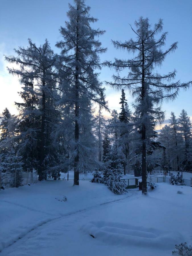 Vila Horec, Vysne Hagy Vysoké Tatry Esterno foto